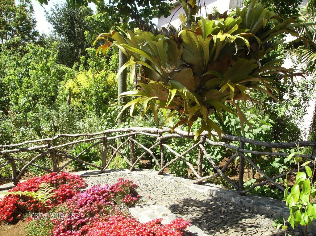 Casa Rosa Villa Camacha  ห้อง รูปภาพ
